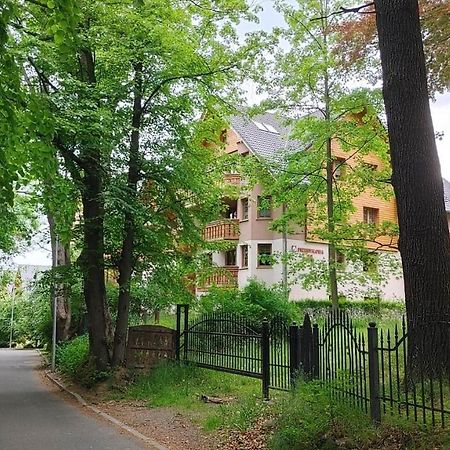 קרפאז' Apartament Mieta מראה חיצוני תמונה