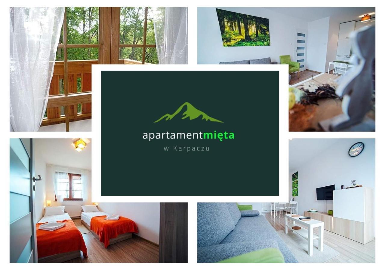 קרפאז' Apartament Mieta מראה חיצוני תמונה